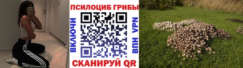 Галлюциногенные грибы Cubensis  Купить где  Старый Оскол 